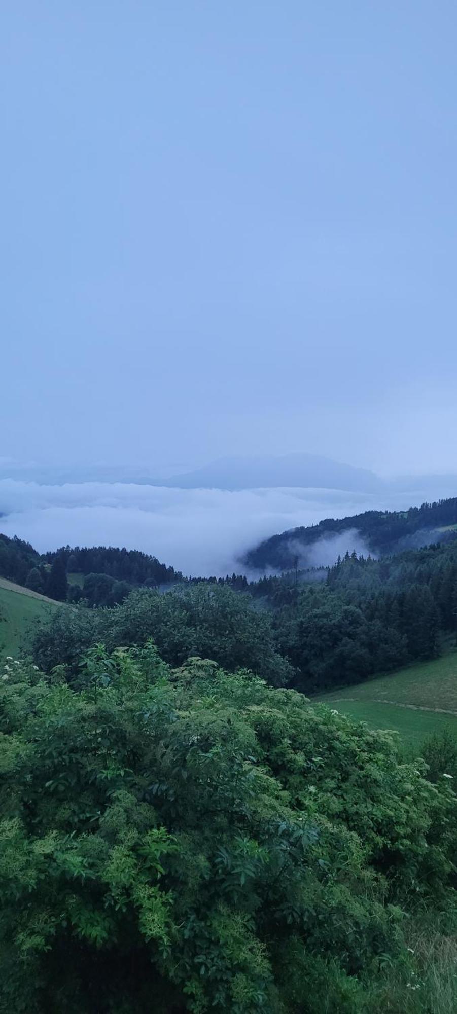 Gasthof Machwirth Griffen المظهر الخارجي الصورة